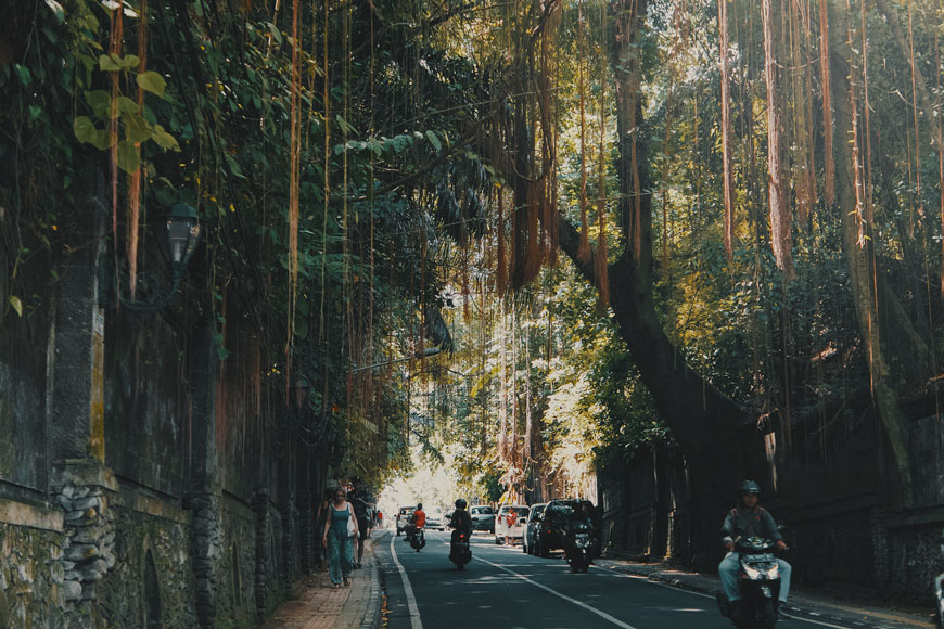 ubud street