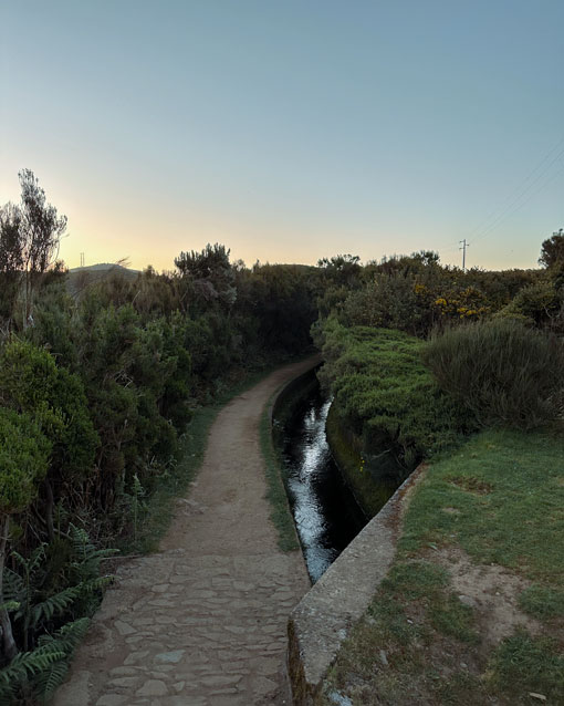 alecrim madeira sunrise