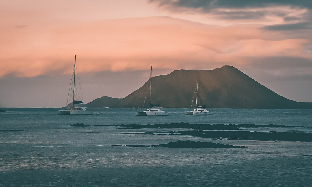 Guía para visitar la isla de Lobos