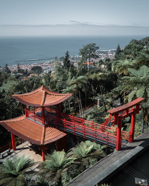 vistas al jardín