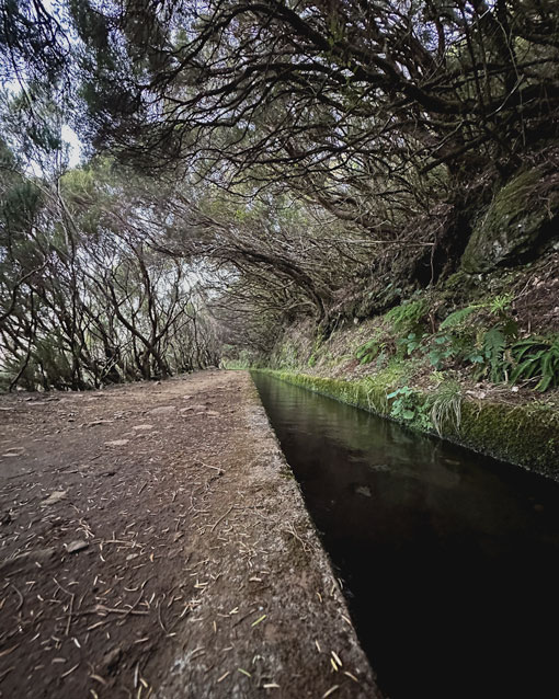 close look levada