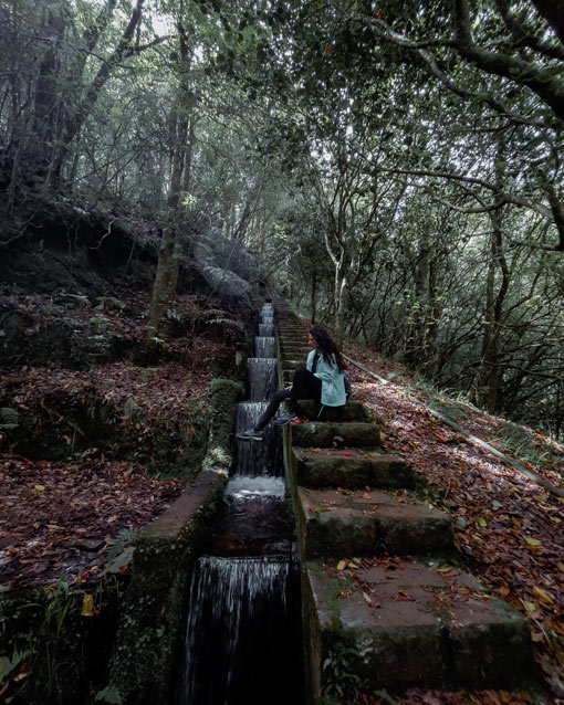 levada ribeiro frio