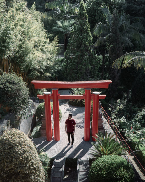 vistas al jardín