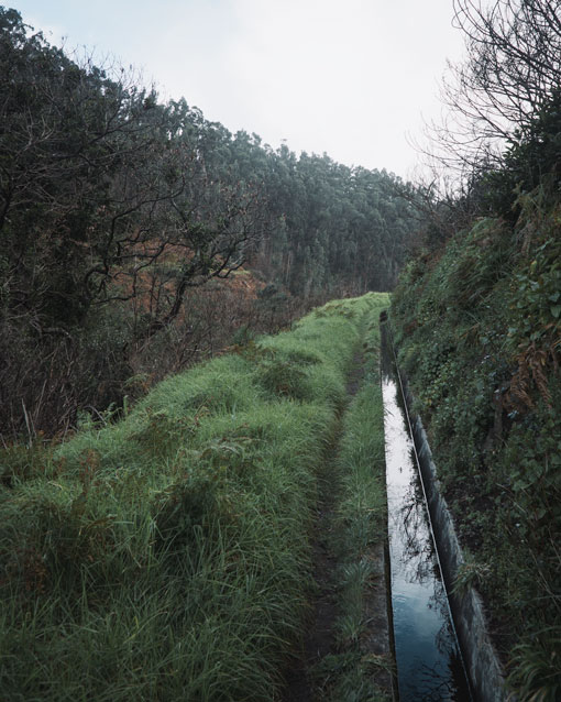 pargo hike madeira<br />
