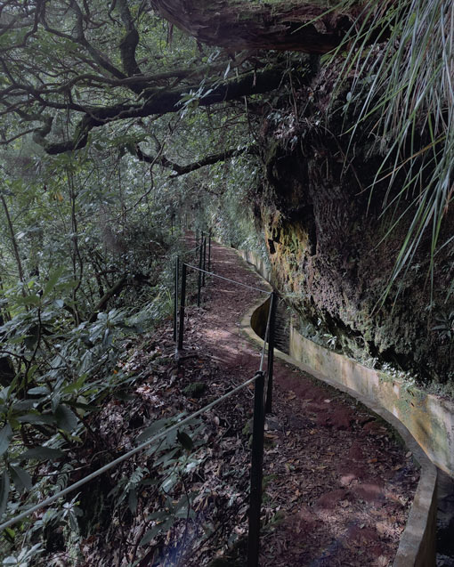 ribeiro frio levada