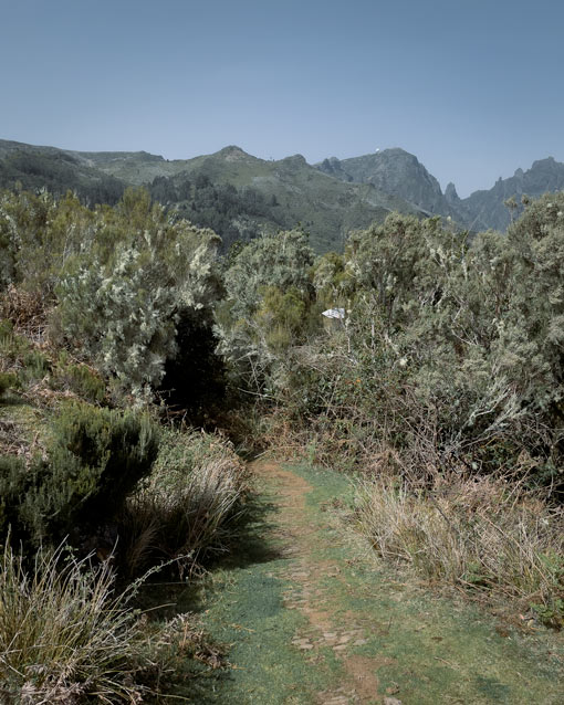 levada signal