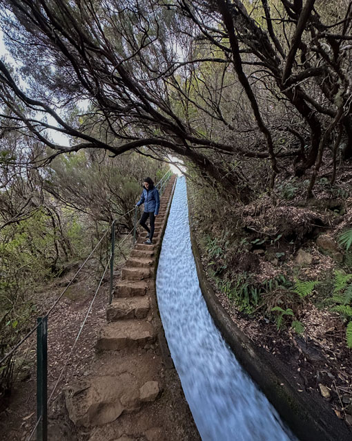 levada alecrim walk